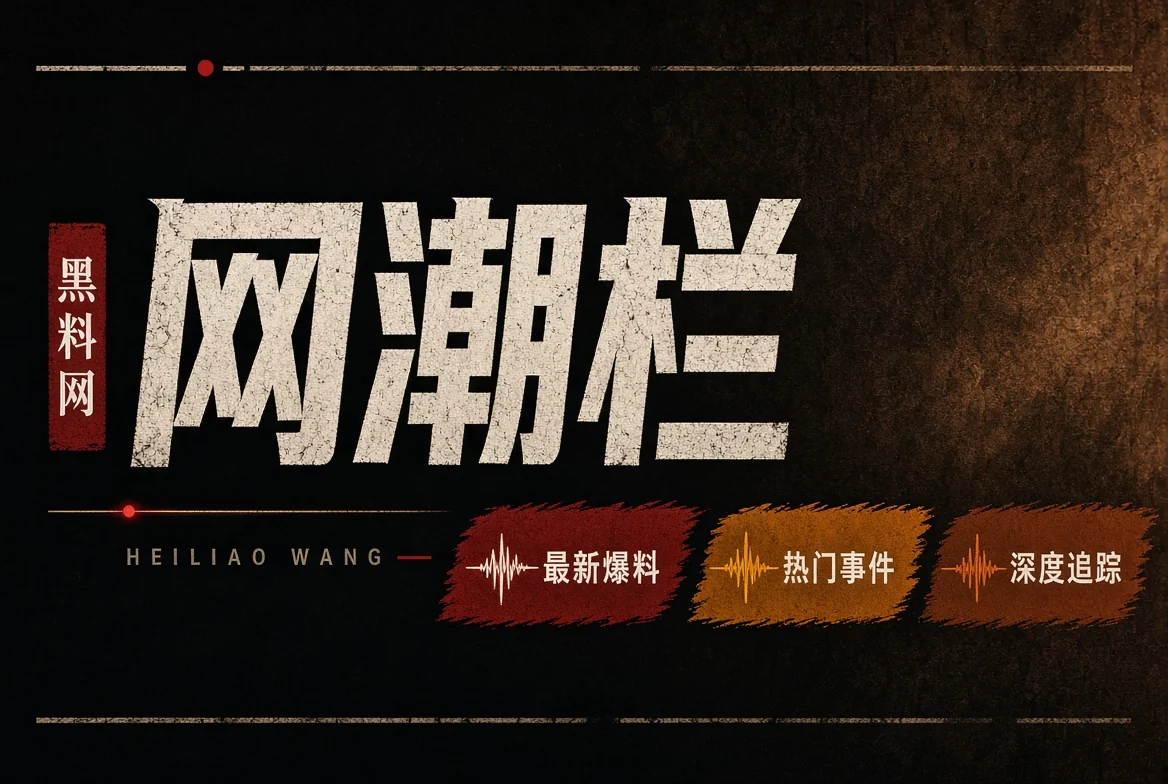 网浪栏视觉资料